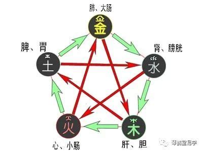 補木 五行|八字命格中五行缺木的人怎麼補木